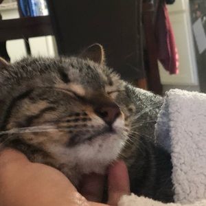 Meet your Posher, Vanessa